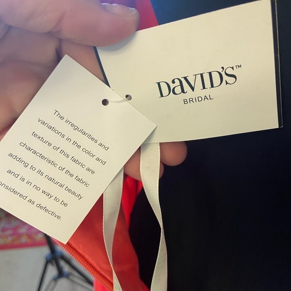 David’s Bridal Long Chiffon Guava Lace Bridesmaid Dress 4 - Picture 16 of 16